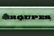Groupes