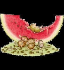 hebergeur image