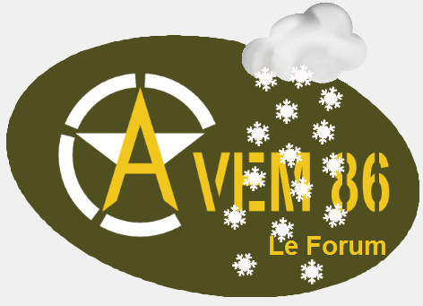AVEM-86 le Forum