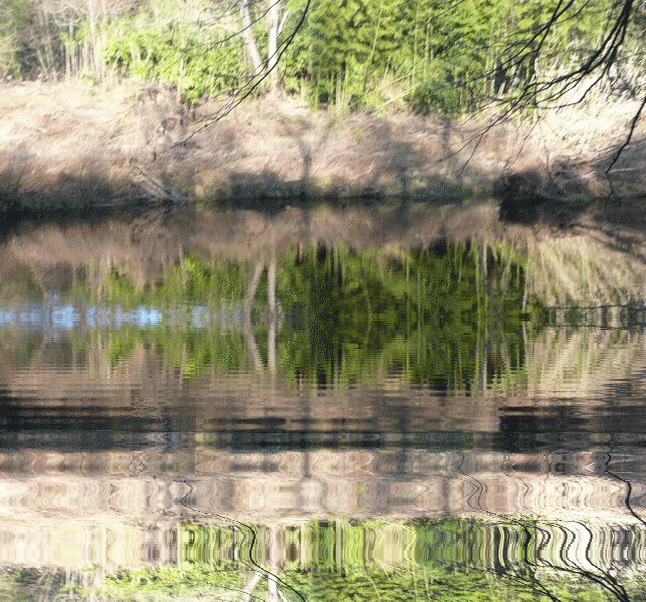 hebergeur image