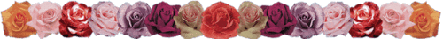 hebergeur image