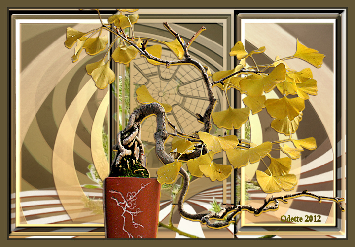 tag gingko biloba 
