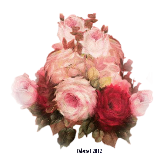roses du passe
