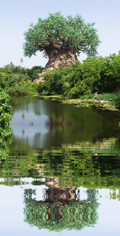 hebergeur image