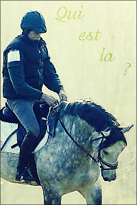 Qui est en ligne ?