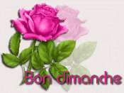 Bon dimanche