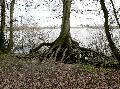 P1160670