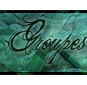 Groupes