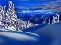 _Winter_Beauty_-