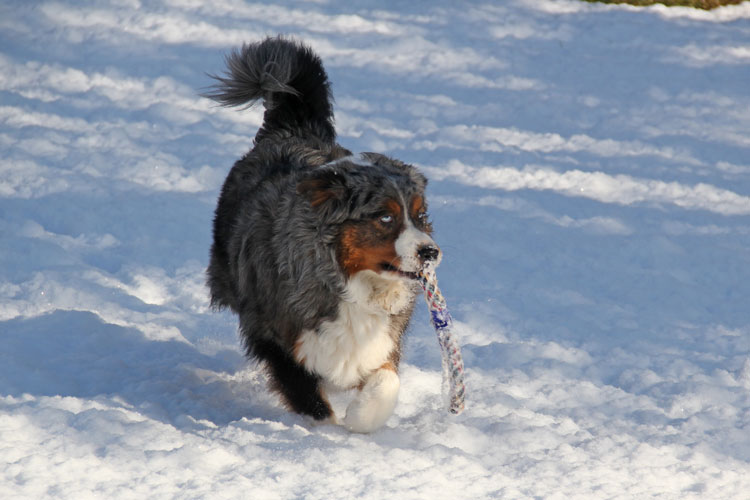hebergeur image