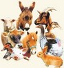 http://nsm07.casimages.com/img/2012/02/10//1202101233151266969418683.jpg