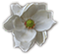 hebergeur image