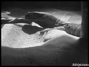 varan
