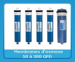 Pompes pour osmoseurs