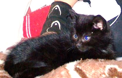 http://nsm07.casimages.com/img/2012/02/24//1202241219311457029483668.jpg