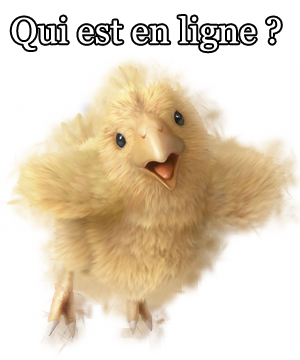 Qui est en ligne ?