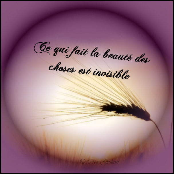 7.travail 009