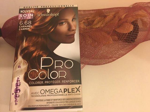 Coloration Schwarzkopf Procolor Omegaplex Lélégance Est La Seule
