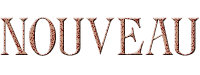 Poster un nouveau sujet
