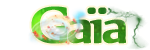 Mésange Orageuse Mésange Orageuse