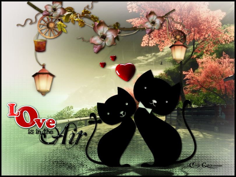 2.Amour 016