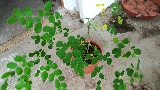 mini_17073105573221941315182339.jpg