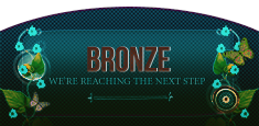 Bronze Bronze