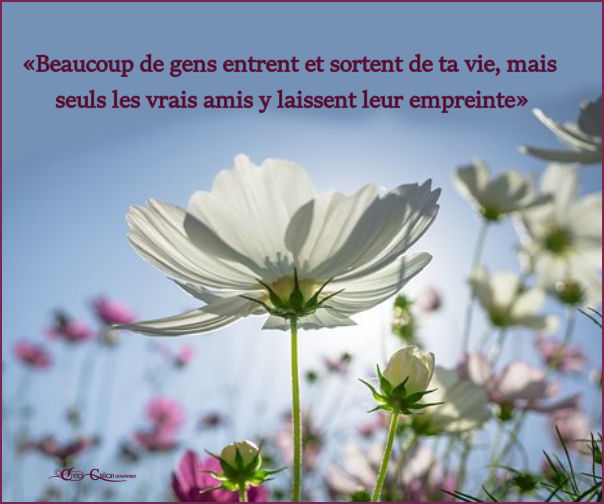 3.Amitié 011