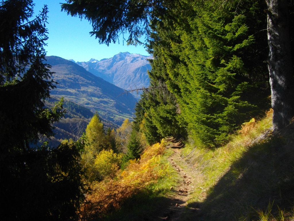 Le superbe sentier pour grimper vers la forêt de Capet :