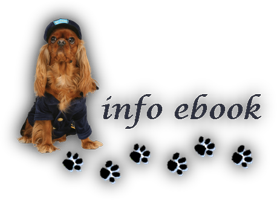 17110108424418893715350227.png