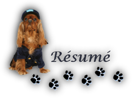 17110108424518893715350228.png