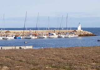 Mora Mora et Argo dans le port d'Hoedic en novembre