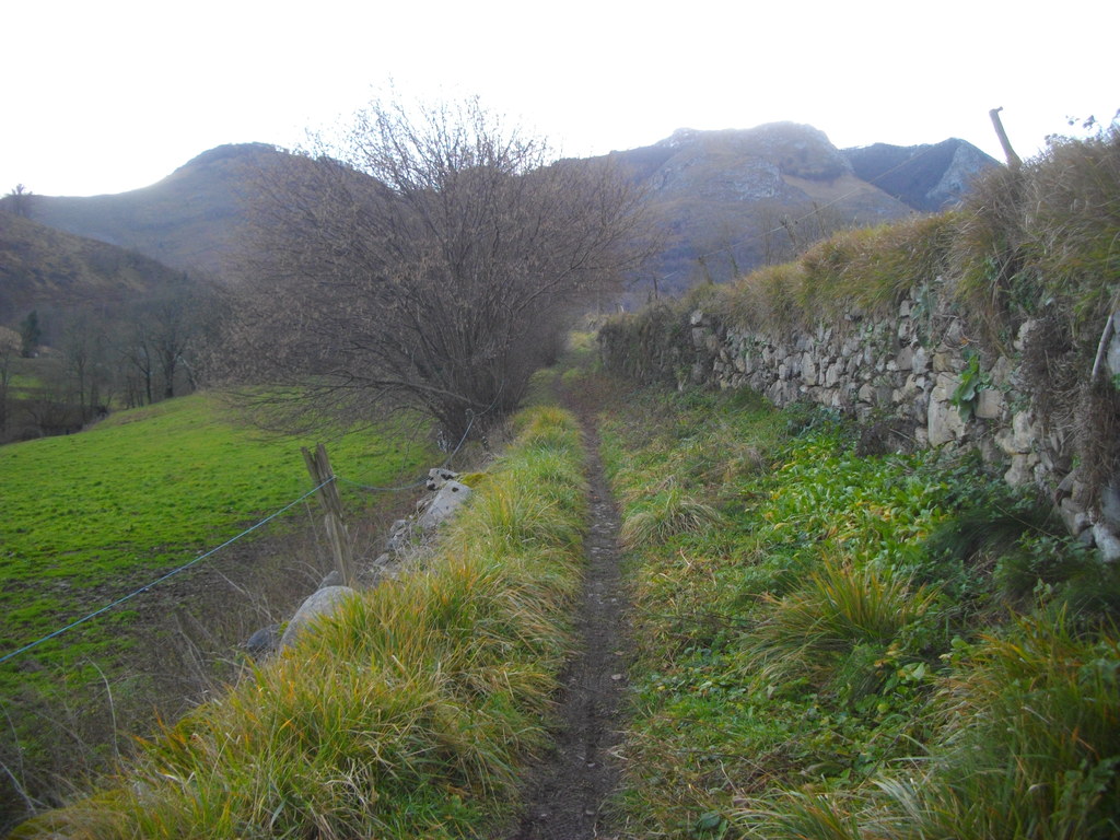 Vallée de Batsurguère, le long des murets :