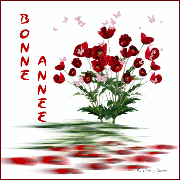 1.Nouvel An 019
