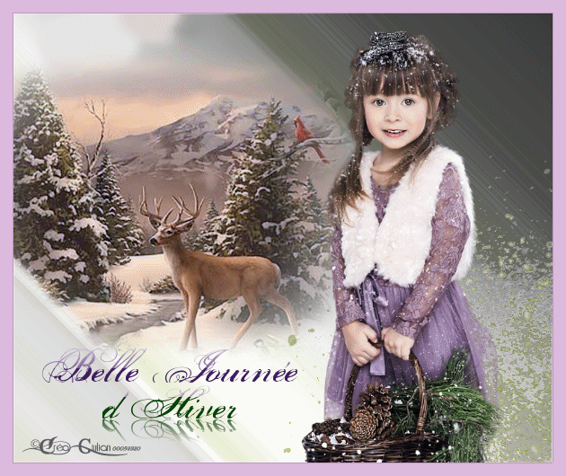 6. Hiver 008