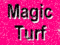 MAGICS TURF
