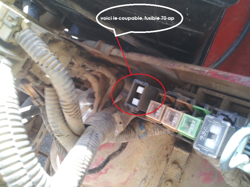 fusible alternateur