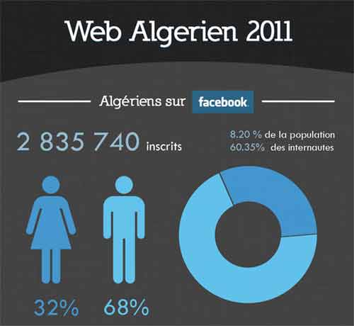 Le Web algérien en chiffres 1201150524181086879302156