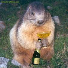 gag MARMOTTE AVEC BOUTEILLE CHAMPAGNE ET VERRE PLEIN hihi gigi animaux 20 12 11 imagesCAHJ9OVH