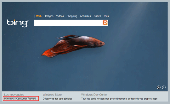Bing Betta Fish - Consumer Preview