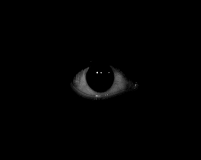 tumblr_leq0qbO2pa1qc7147o1_400 tumblr_leq0qbO2pa1qc7147o1_400