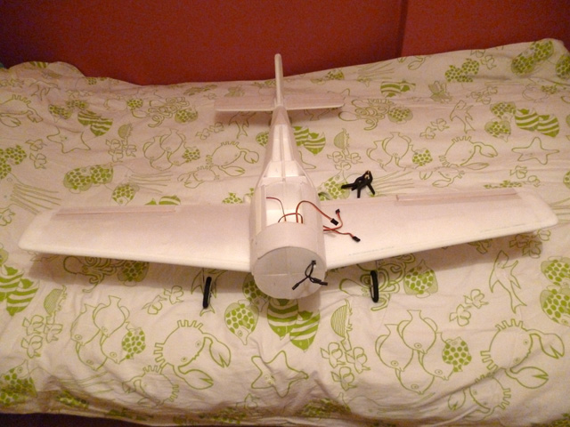 P1000515