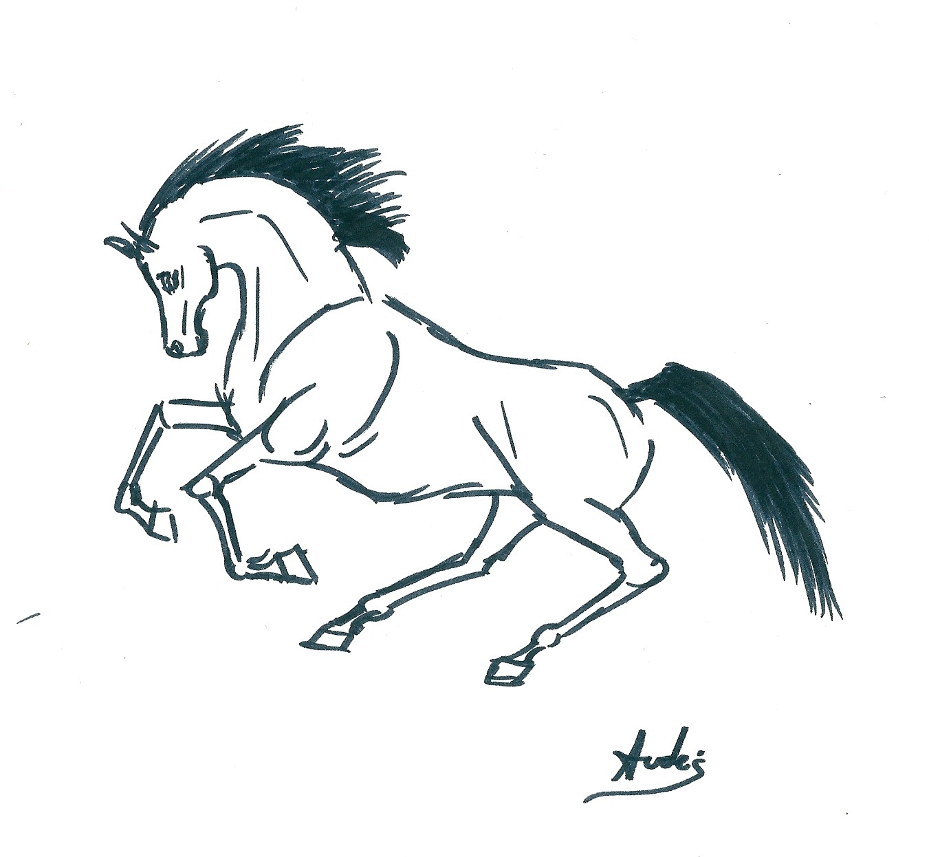 num&eacute;risation0002