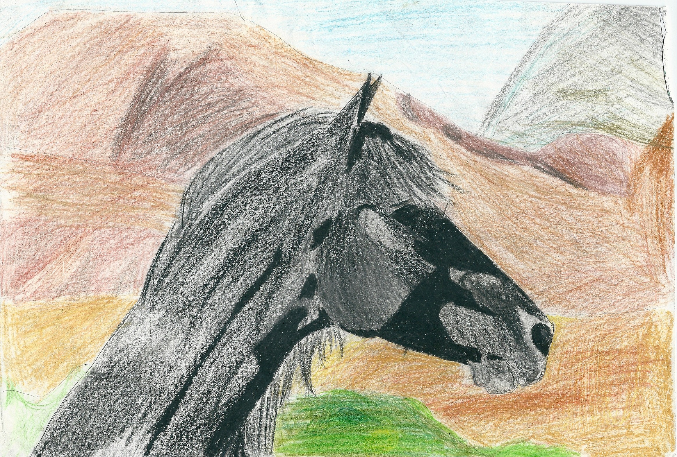 num&eacute;risation0003