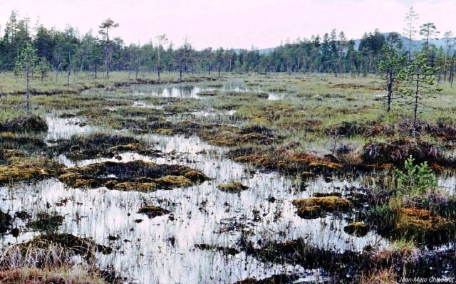 tourbiredalcarlie05[1]