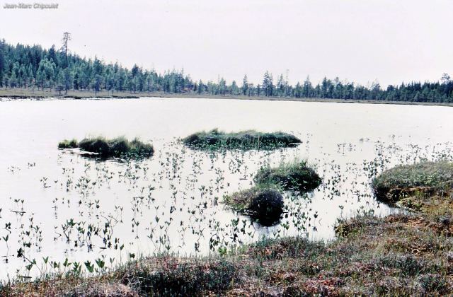 tourbiredalcarlie03[1]