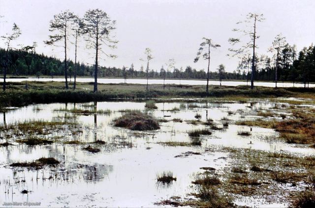 tourbiresdalcarlie01[1]