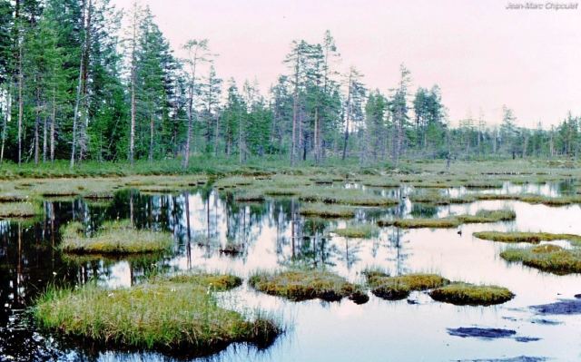 tourbireprslacfemund06[1]