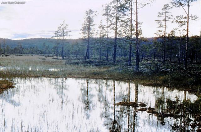 tourbireprslacfemund03[1]