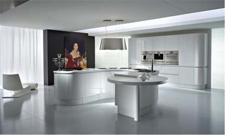 10-black-and-white-modern-luxury-kitchen-design-ideas-2010-08